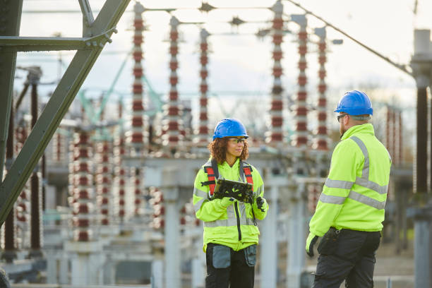 Best Electric Panel Repair  in Laguna Vista, TX