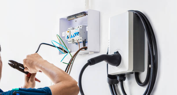 Best Ceiling Fan Installation Electrician  in Laguna Vista, TX